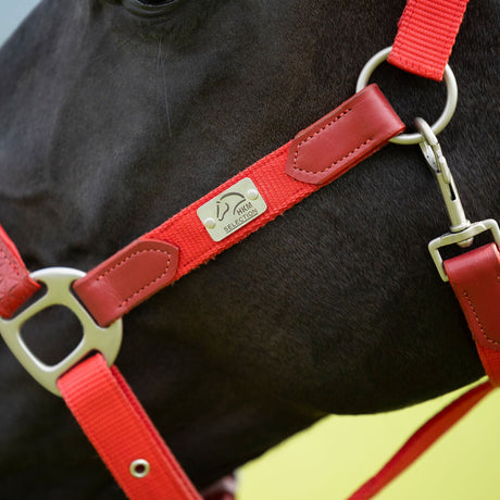 HKM Head Collar -Aruba- #colour_red