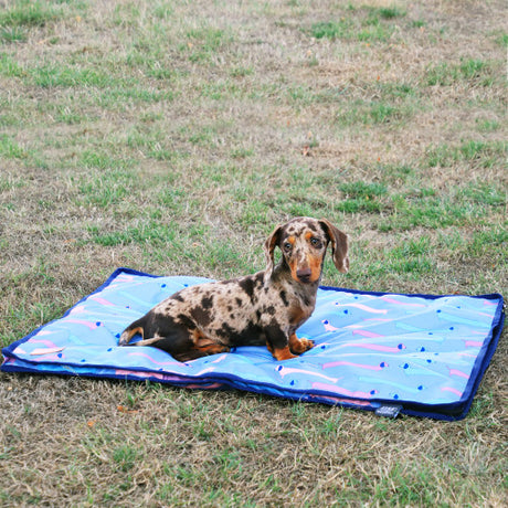 Hy Equestrian Benji & Flo Dorris The Dachshund Dog Bed #colour_riviera/navy