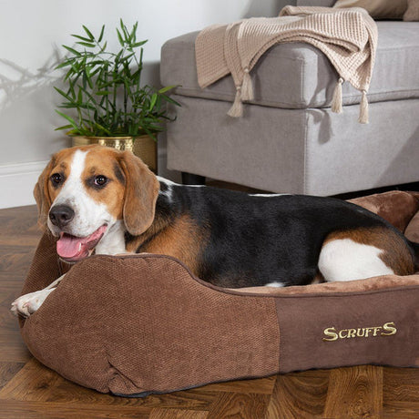 Scruffs Chester Box Bed #colour_chocolate