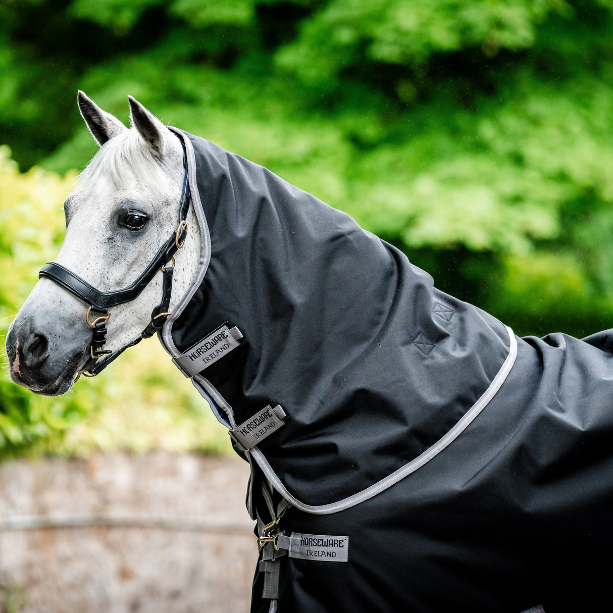 Horseware Ireland Amigo Bravo 12 Plus 250g Medium Turnout Rug #colour_black-titanium-grey-silver