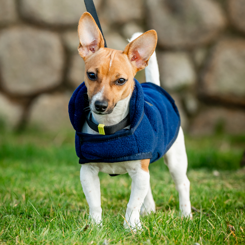 Horseware Ireland Signature Dog Fleece #colour_navy