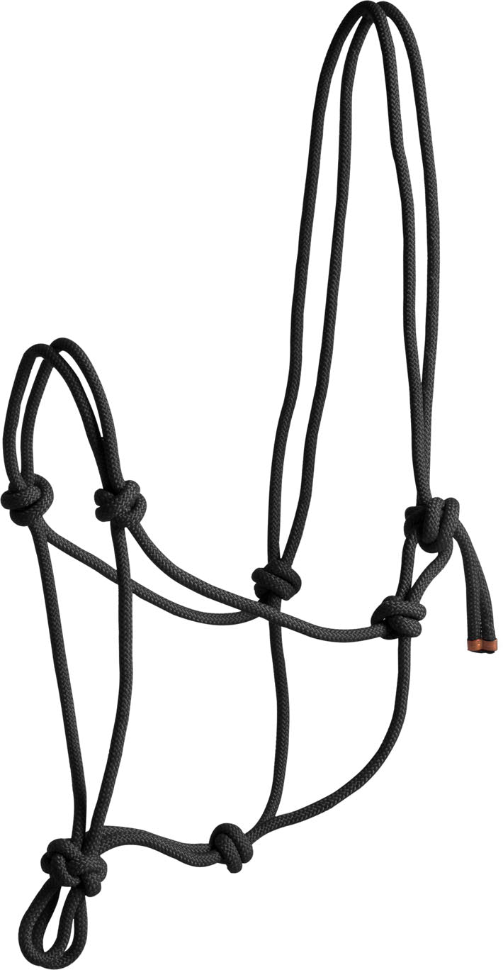 Norton First Rope Headcollar #colour_black