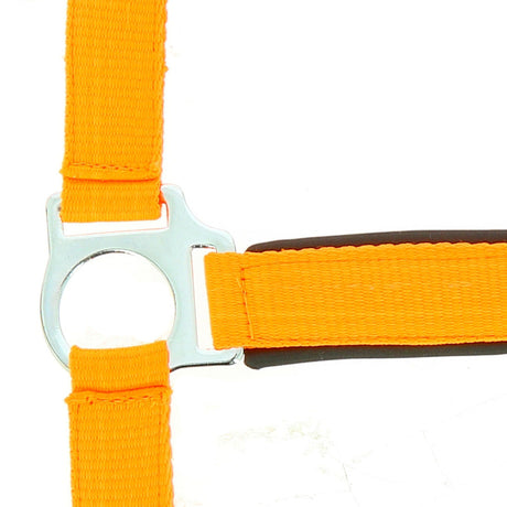 Norton Fluo Lined Headcollar #colour_orange