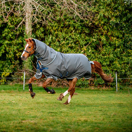 Horseware Ireland Amigo Bravo 12 Plus 400g Heavy Turnout Rug #colour_shadow-navy-blue-haze