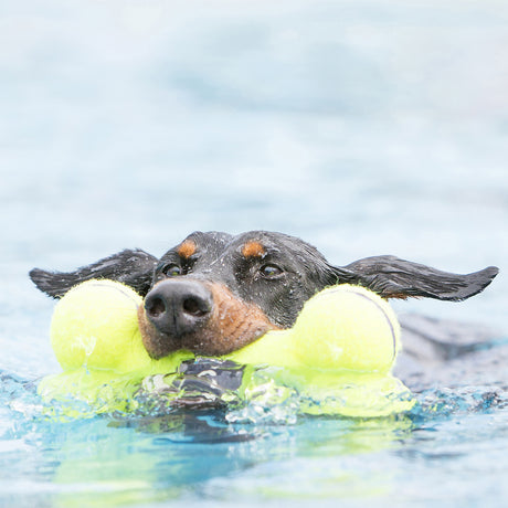 KONG AirDog Squeaker Bone #size_s