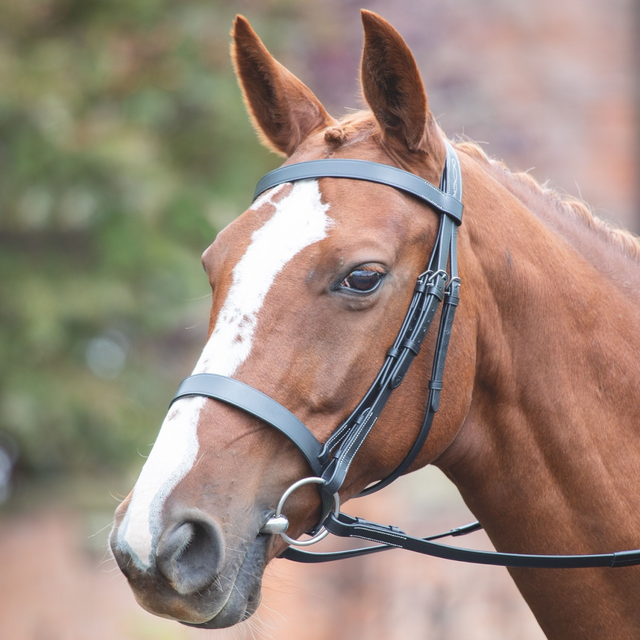 Shires Avignon Hunter Cavesson Bridle #colour_black