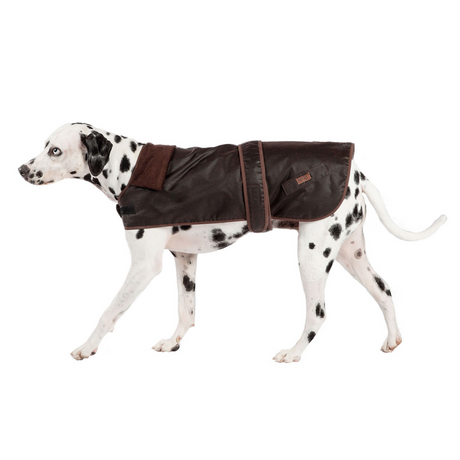 Danish Design Fatface Sussex Dog Coat #colour_chocolate