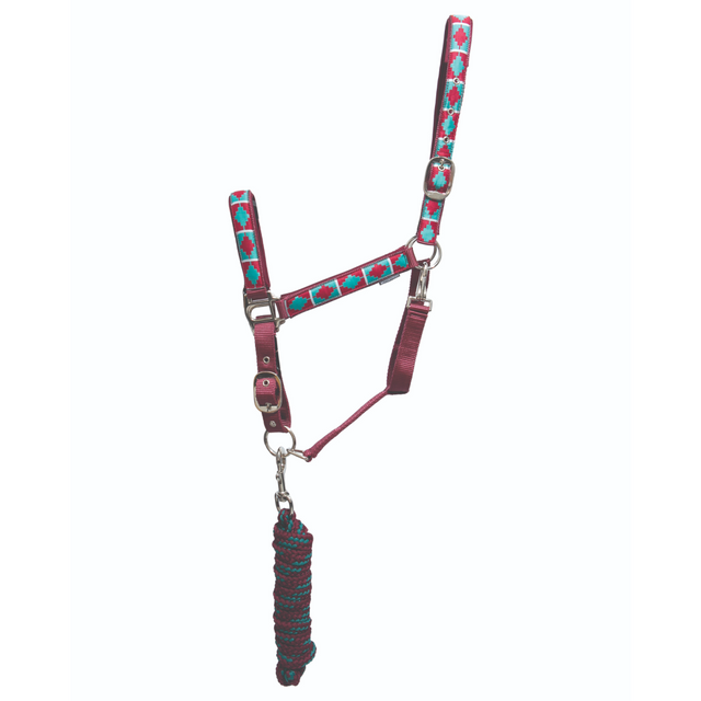 Hy Equestrian Woven Polo Head Collar and Lead Rope #colour_aqua-fig